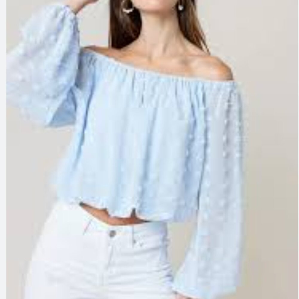 Blue Haden Oversize Swiss Dot Blouse
